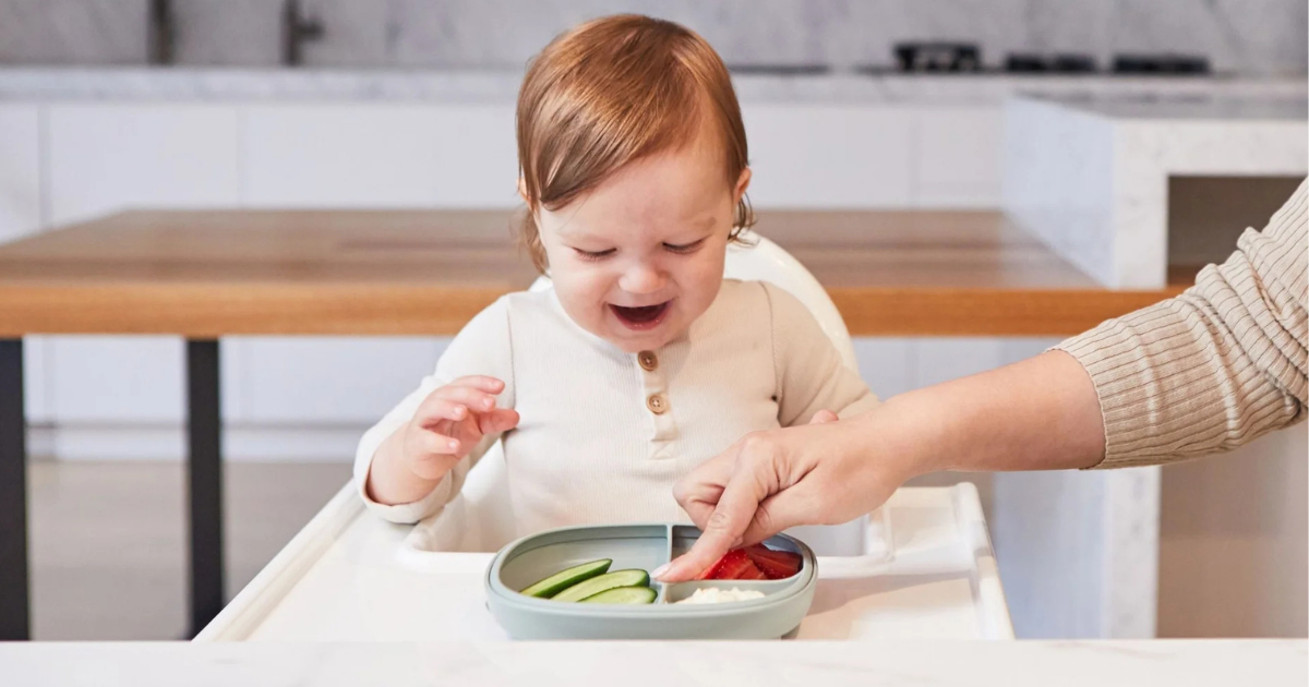 Dividing plates for baby-led weaning? YES!