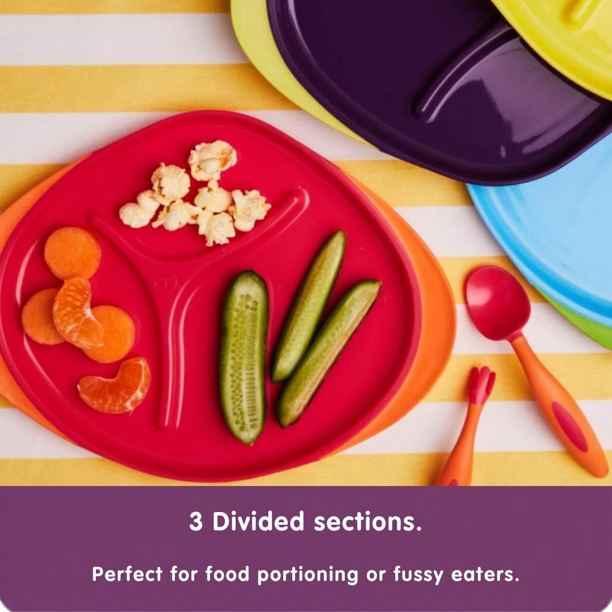 Large Plate - Assorted My Store