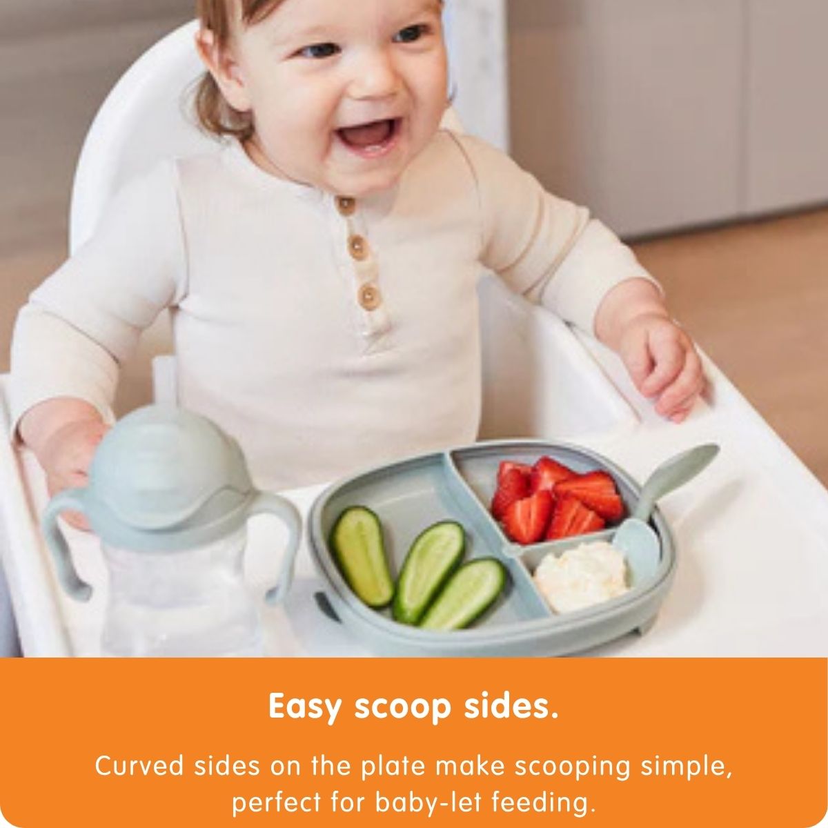2 in 1 Suction Plate - Assorted B-Box
