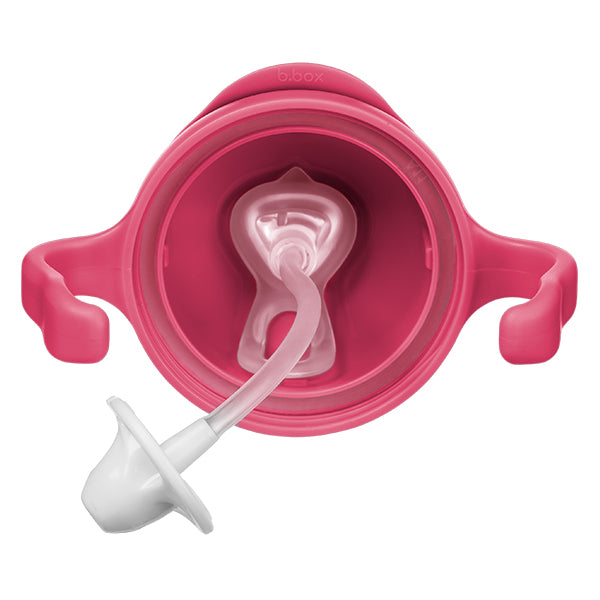 Sippy Cup - Raspberry