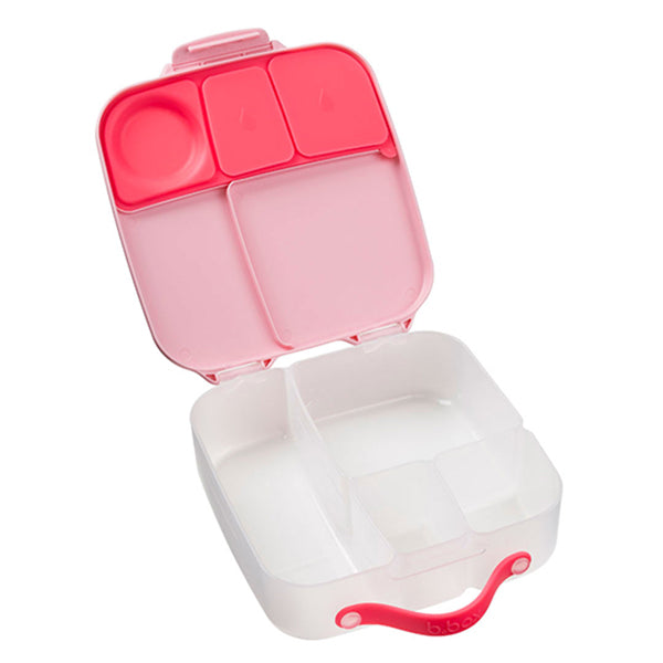 lunchbox - flamingo fizz